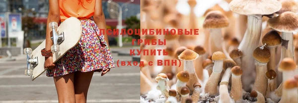 соль ск Алексин