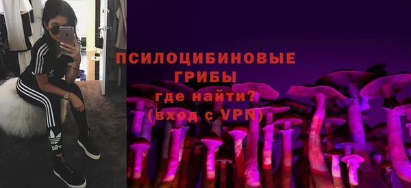 МДПВ Алексеевка