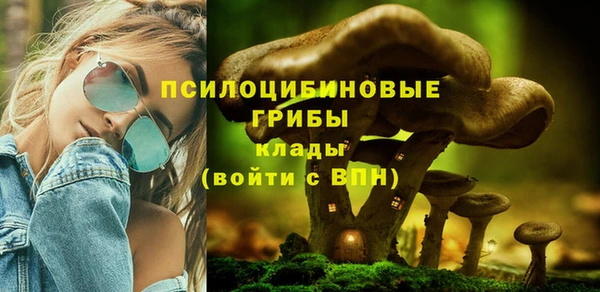 ГАЛЛЮЦИНОГЕННЫЕ ГРИБЫ Алзамай