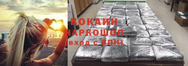 ГАЛЛЮЦИНОГЕННЫЕ ГРИБЫ Алзамай